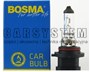 ZAROWKA HB4A 12V