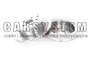 HAM.TARCZA /T/ AVENSIS 1.6-2.4 03-
